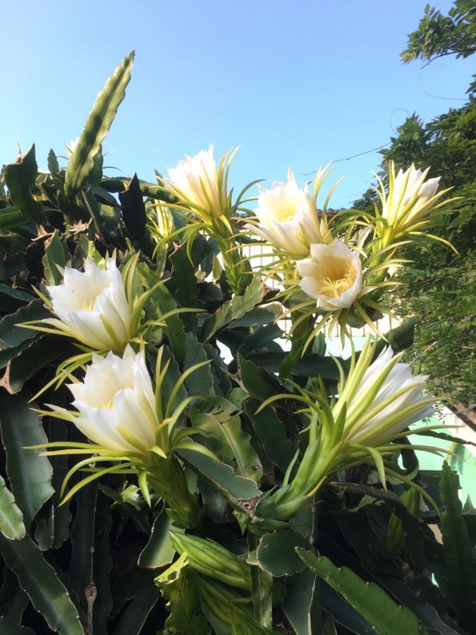Youlin Homestay Meishan ภายนอก รูปภาพ