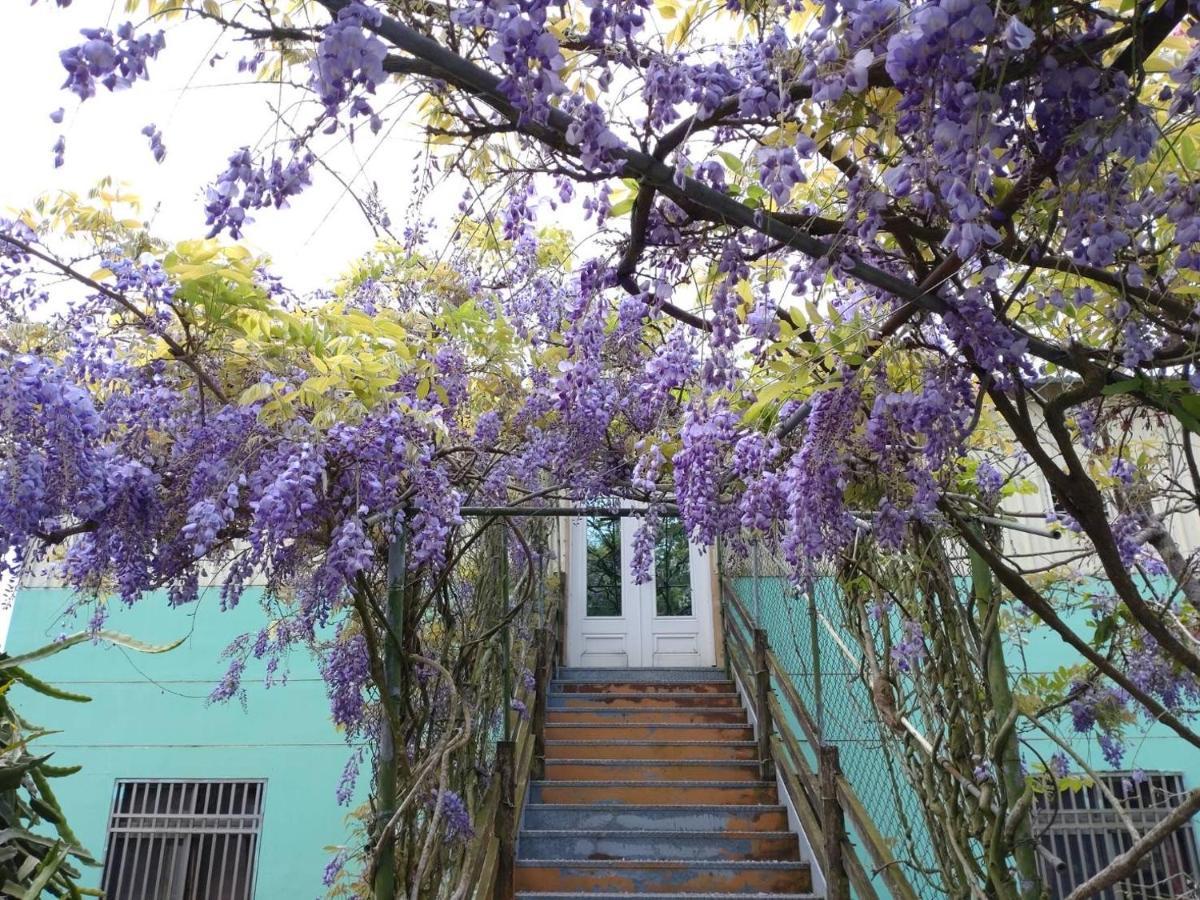 Youlin Homestay Meishan ภายนอก รูปภาพ