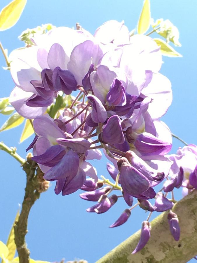 Youlin Homestay Meishan ภายนอก รูปภาพ