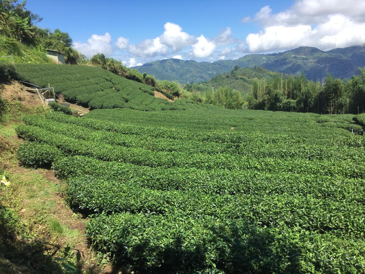 Youlin Homestay Meishan ภายนอก รูปภาพ